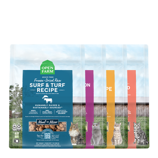 Freeze-Dried Raw Cat Treat Variety Pack - Four Ocean & Land Protein Recipes