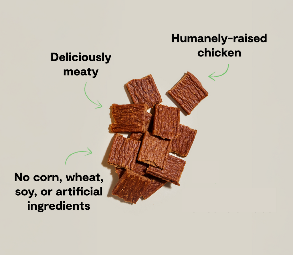 Single-Ingredient Dehydrated Chicken Dog Treats – High-Protein Chews