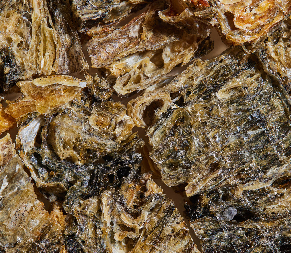 Dehydrated Wild-Caught Cod Skin Dog Chews – Single-Ingredient Crunchy