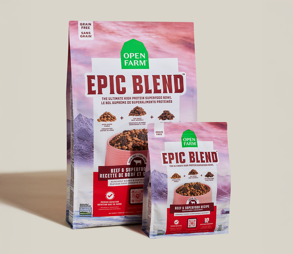 High-Protein Grain-Free Beef Kibble with Air-Dried Morsels & 10+ Superfoods