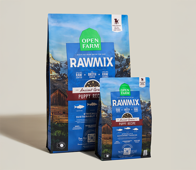 Fish & Ancient-Grain Puppy RawMix Kibble – DHA Freeze-Dried Poultry-Free