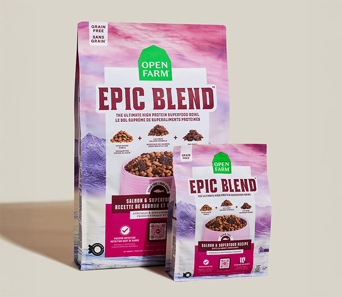 Grain-Free Salmon & Superfood Epic Blend Dog Kibble – Air-Dried Bits