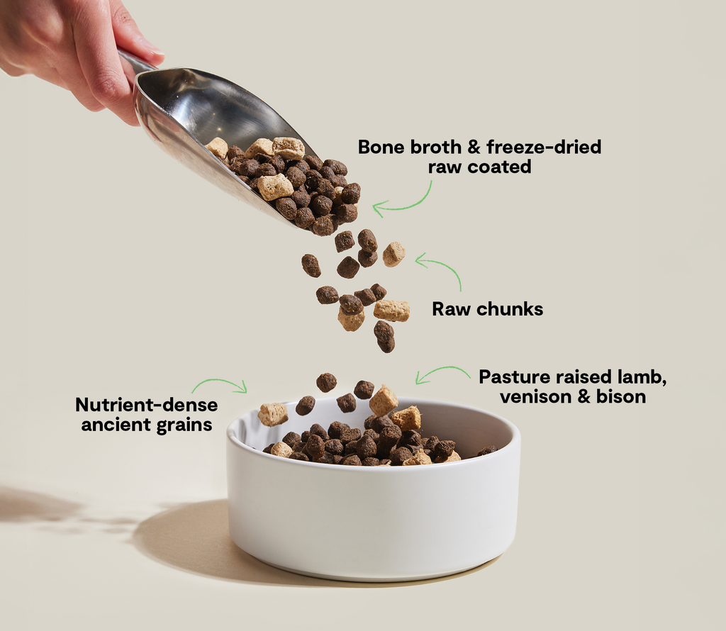 Venison, Lamb & Bison Ancient Grain Dog Kibble – Poultry-Free Raw-Coated