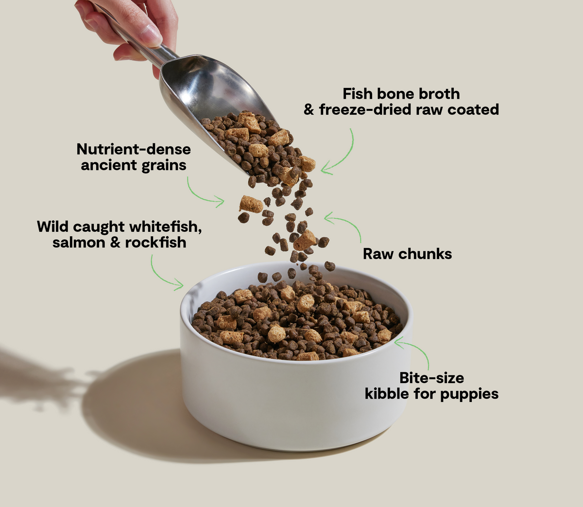 Fish & Ancient-Grain Puppy RawMix Kibble – DHA Freeze-Dried Poultry-Free