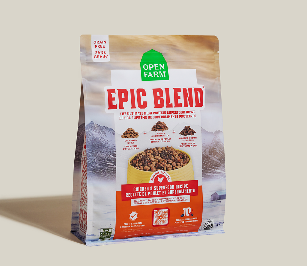 High-Protein Chicken Superfood Dog Kibble - Oven-Baked & Air-Dried Blend