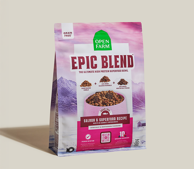 Grain-Free Salmon & Superfood Epic Blend Dog Kibble – Air-Dried Bits