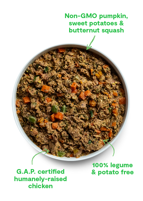 Limited-Edition Winter Chicken Gently Cooked Frozen Dog Food