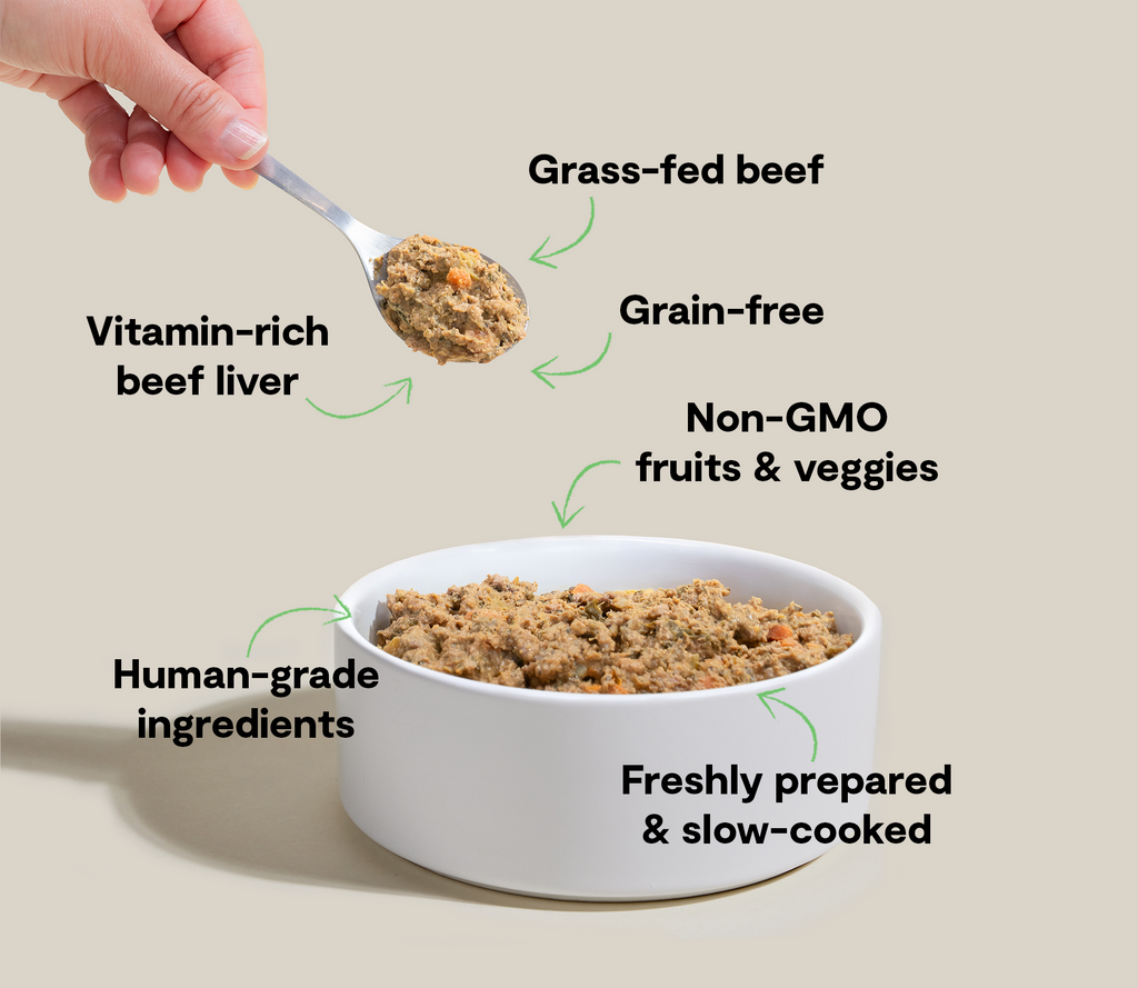 Grass-Fed Beef Gently Cooked Frozen Dog Food – Human-Grade Recipe