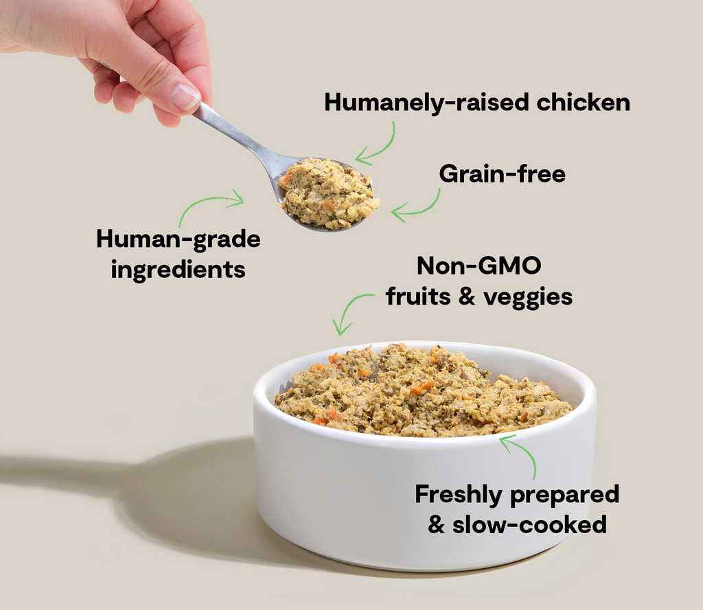 Grain-Free Harvest Chicken Gently Cooked Frozen Dog Food – Human-Grade