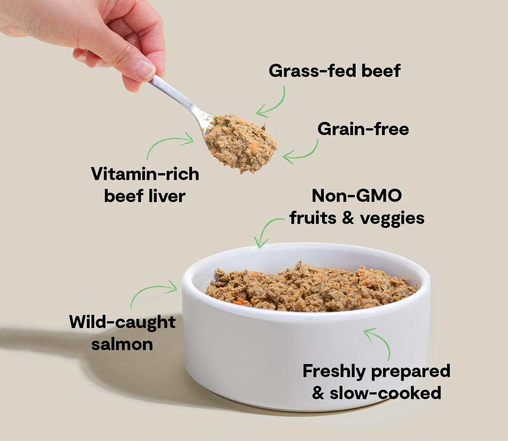 Surf & Turf Gently Cooked Frozen Dog Food – Grass-Fed Beef Salmon Liver