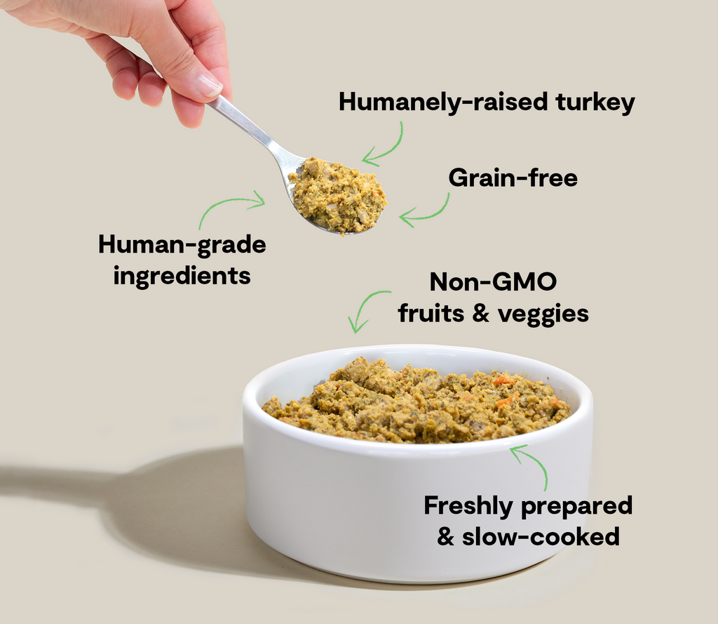 Grain-Free Turkey Gently Cooked Frozen Dog Food - Human-Grade Fresh Recipe