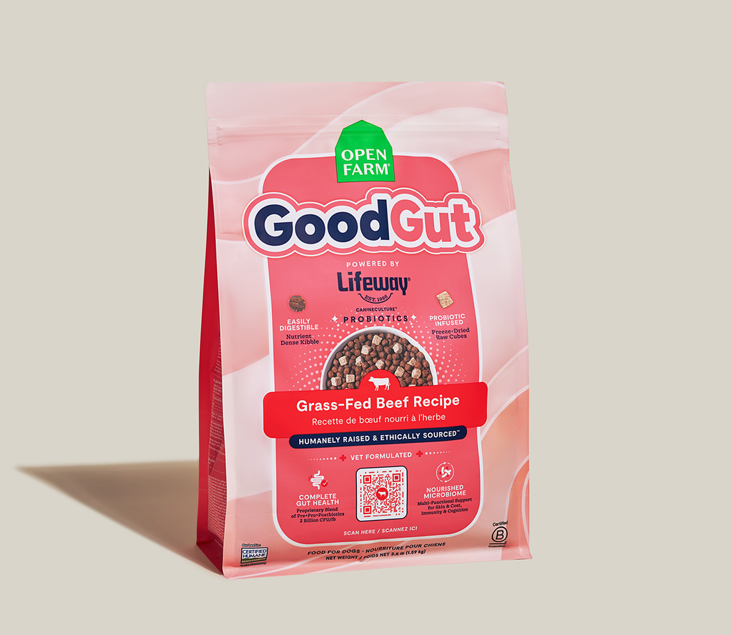 Probiotic Grass-Fed Beef Kibble – Freeze-Dried Raw Cubes, Gut-Health Dog Food