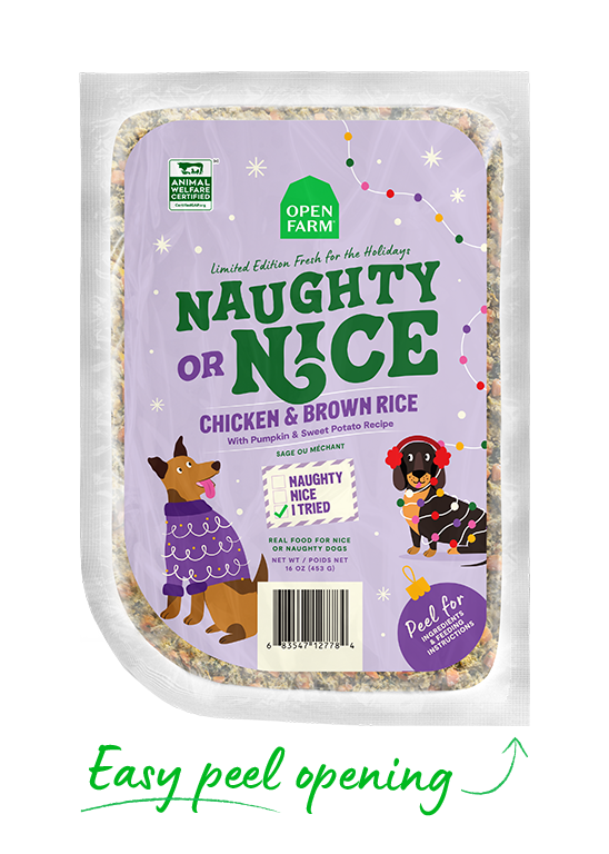 Limited-Edition Winter Chicken Gently Cooked Frozen Dog Food