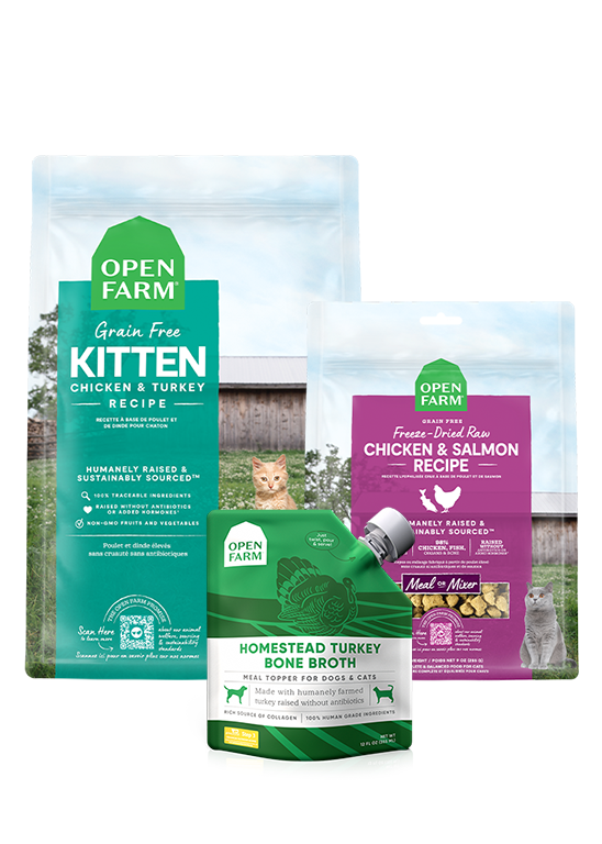 New Kitten Starter Bundle – Dry Kibble Freeze-Dried Raw Turkey Broth