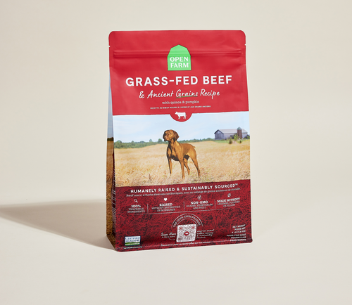 Certified Humane Grass-Fed Beef & Ancient Grains Dry Dog Kibble