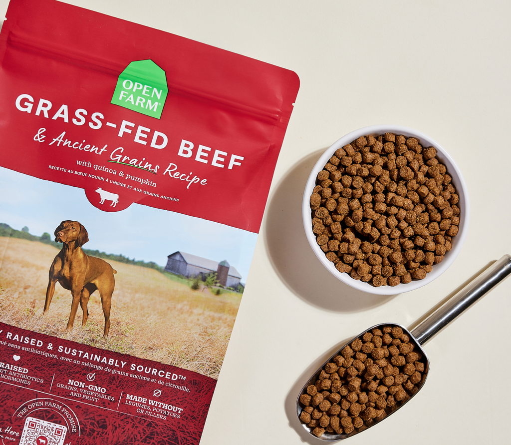 Certified Humane Grass-Fed Beef & Ancient Grains Dry Dog Kibble