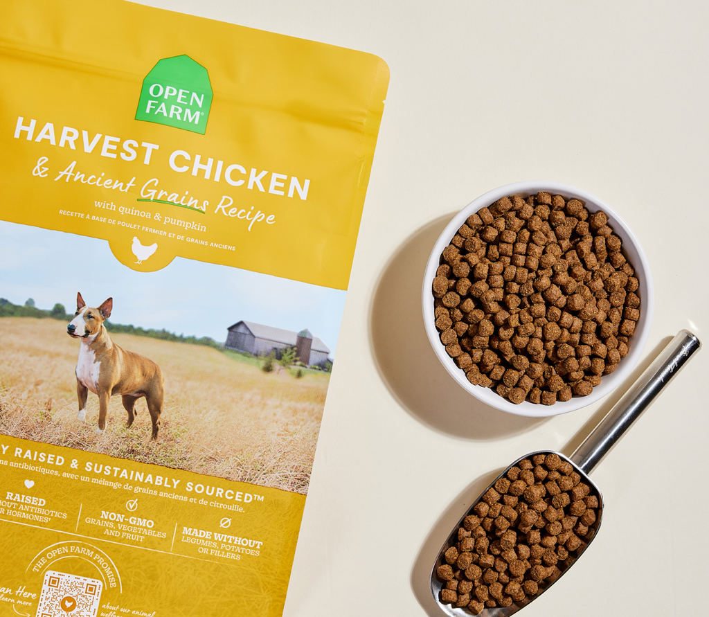 Harvest Chicken & Ancient-Grain Dog Kibble – Quinoa Coconut Oil Friendly