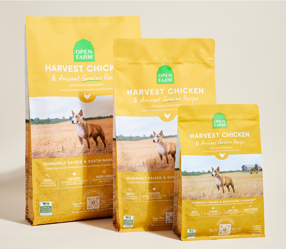Harvest Chicken & Ancient-Grain Dog Kibble – Quinoa Coconut Oil Friendly