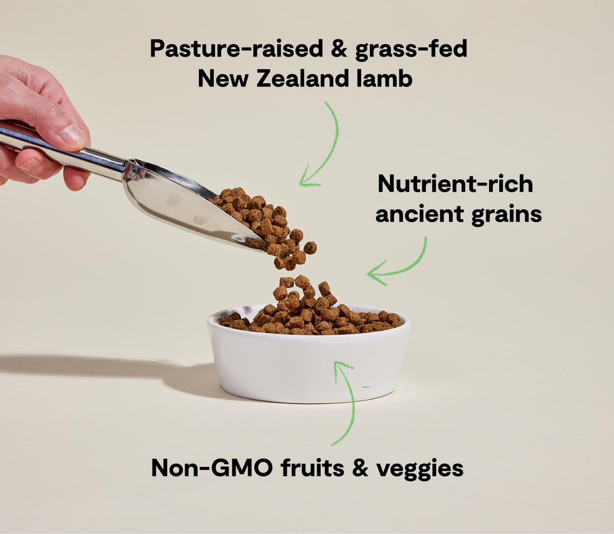 New Zealand Lamb & Ancient-Grain Dog Kibble – Quinoa Coconut Oil Friendly