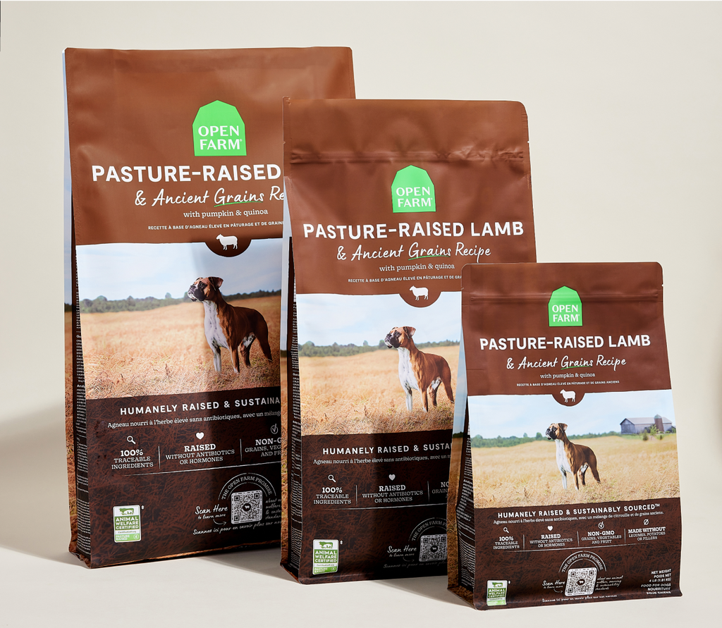 New Zealand Lamb & Ancient-Grain Dog Kibble – Quinoa Coconut Oil Friendly