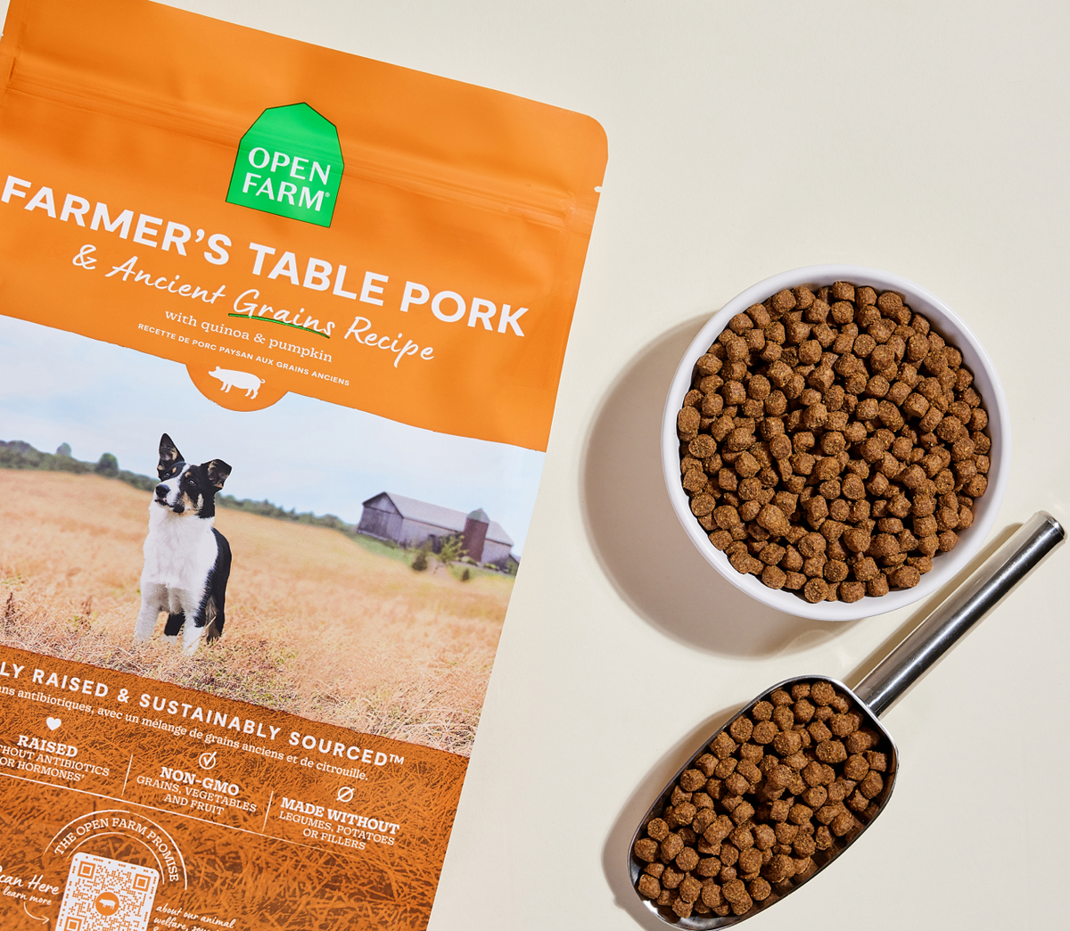 Pork & Ancient Grains Dry Dog Food - Complete Kibble with Pumpkin & Quinoa