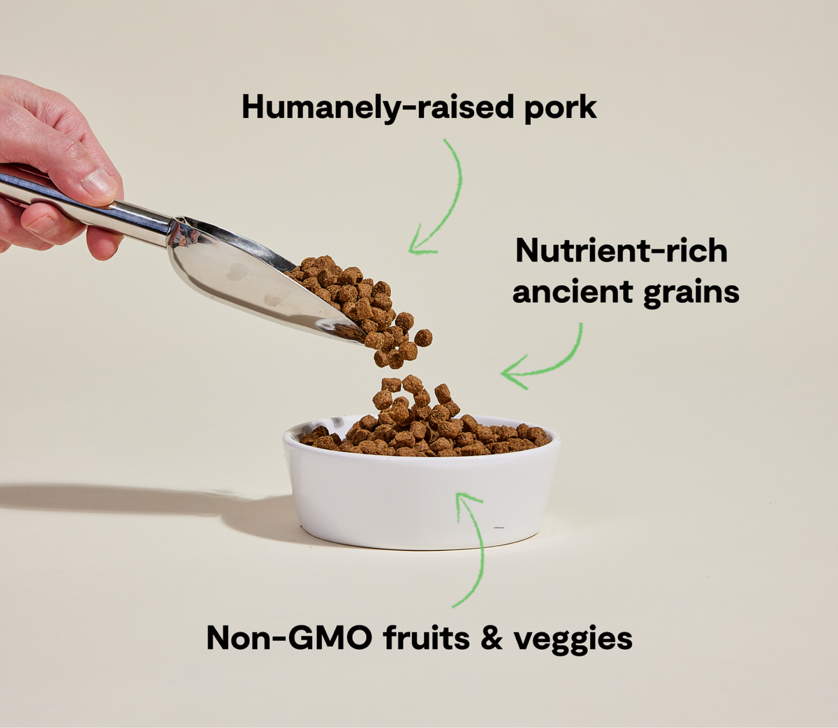 Pork & Ancient Grains Dry Dog Food - Complete Kibble with Pumpkin & Quinoa