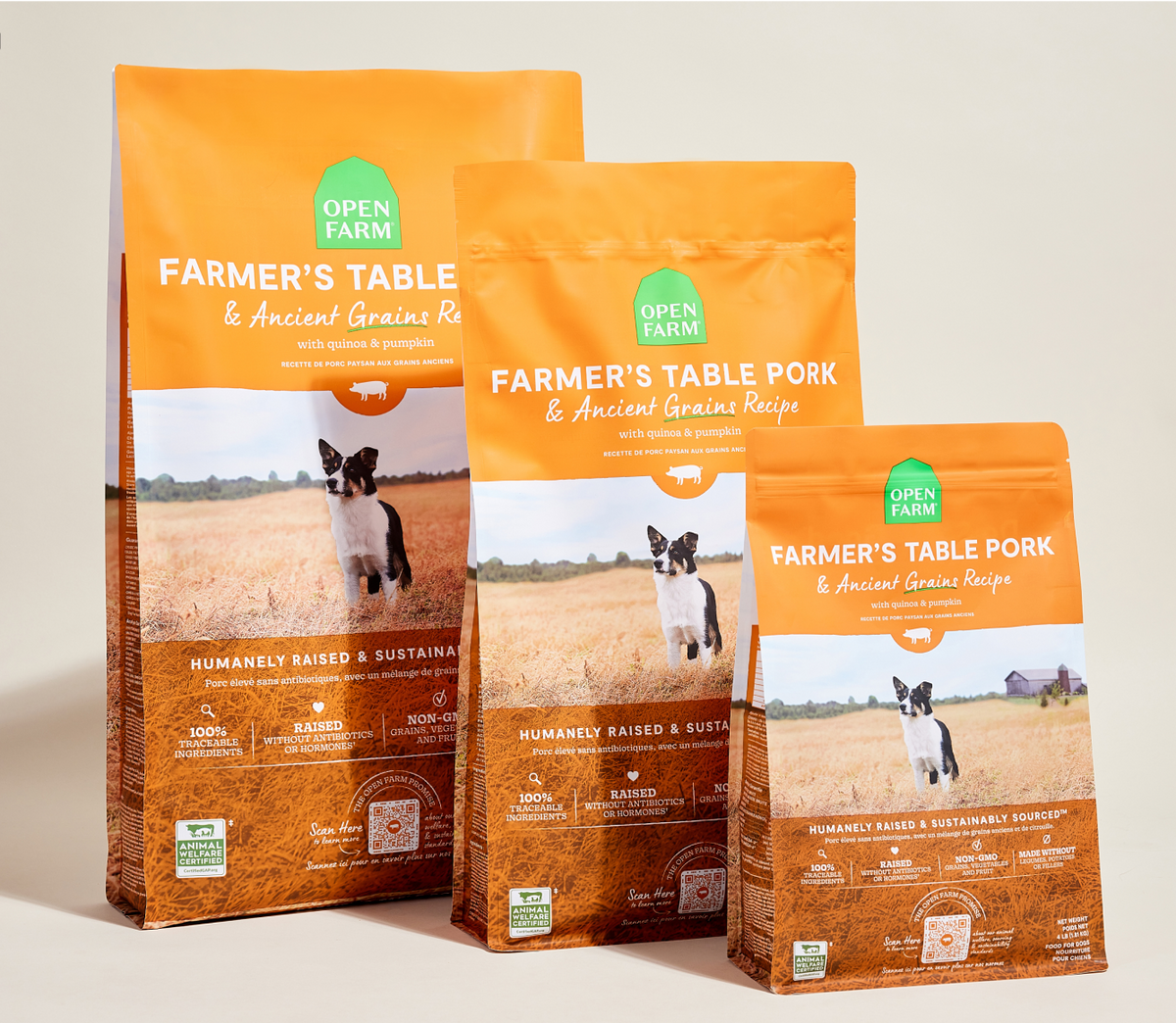 Pork & Ancient Grains Dry Dog Food - Complete Kibble with Pumpkin & Quinoa