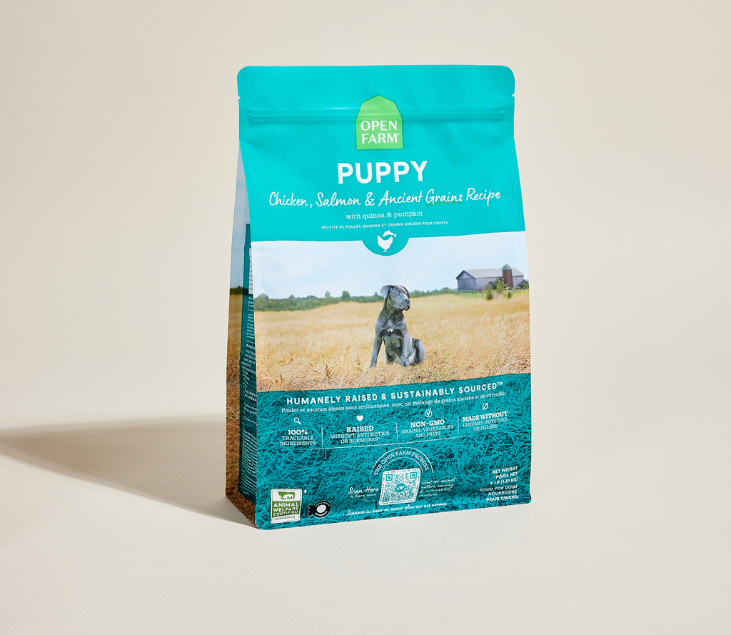 Salmon & Chicken Ancient-Grain Puppy Kibble – Immune-Supporting Recipe