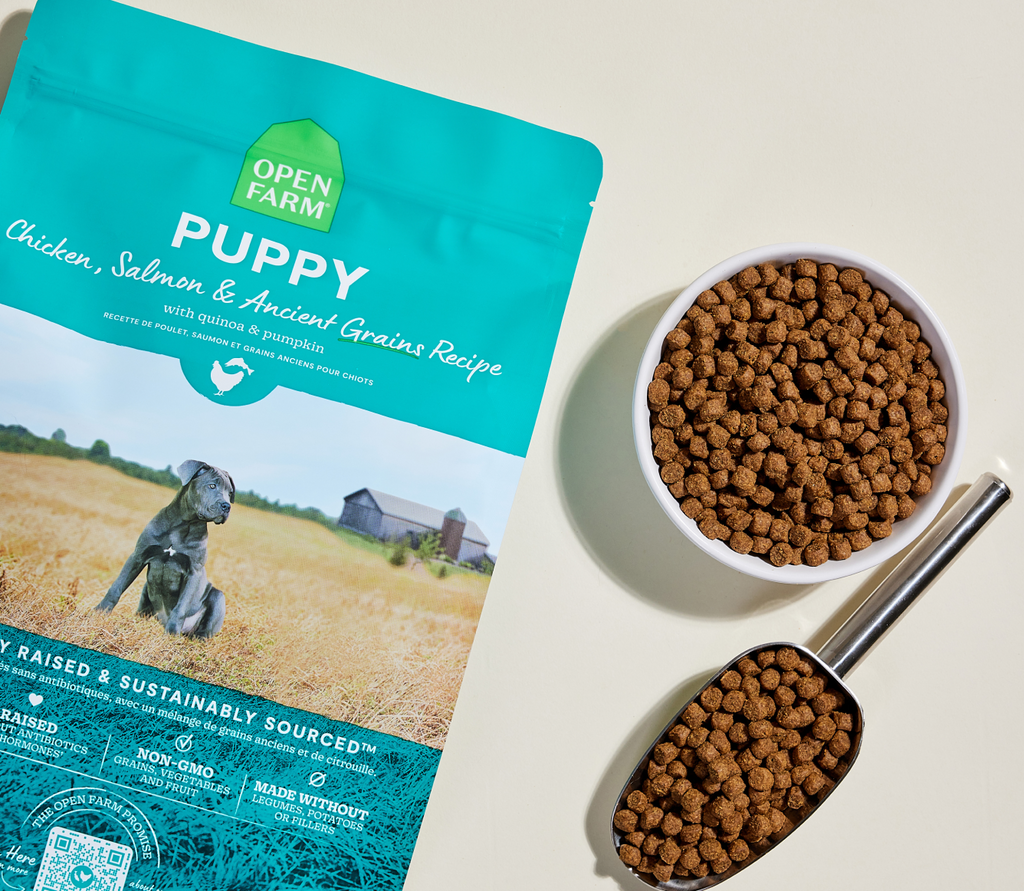 Salmon & Chicken Ancient-Grain Puppy Kibble – Immune-Supporting Recipe
