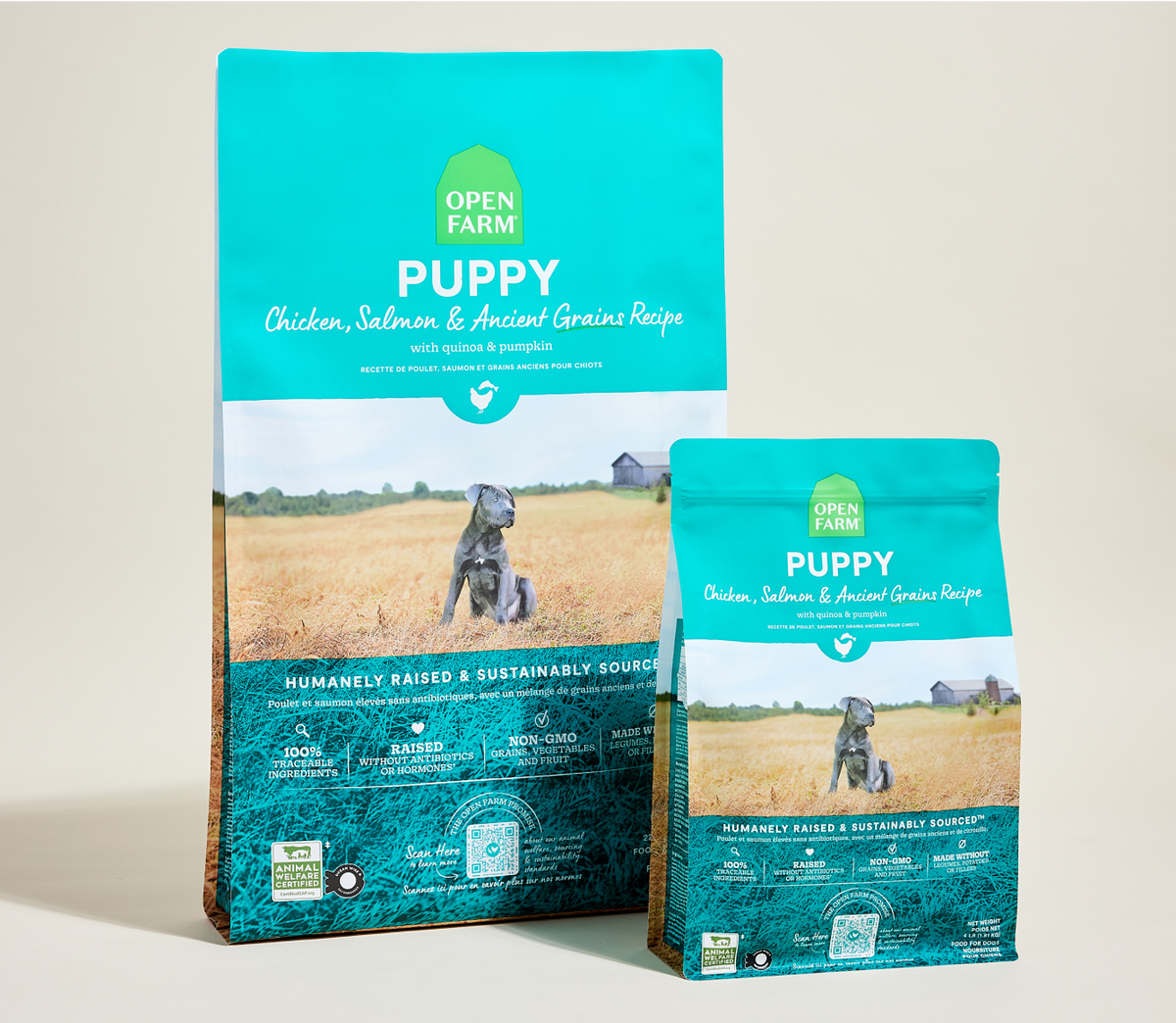 Salmon & Chicken Ancient-Grain Puppy Kibble – Immune-Supporting Recipe