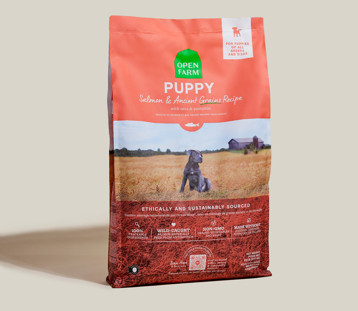 Puppy Kibble with Wild-Caught Salmon & Ancient Grains - Brain, Eye, Immune Support