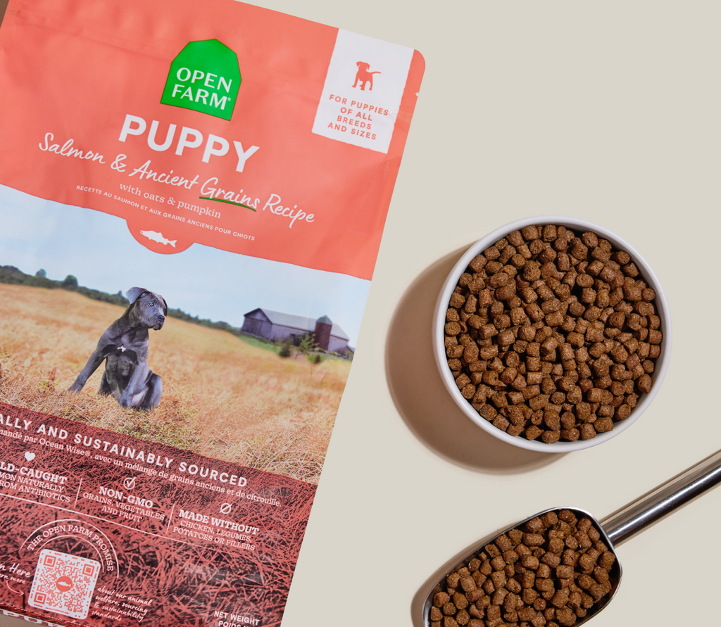 Puppy Kibble with Wild-Caught Salmon & Ancient Grains - Brain, Eye, Immune Support