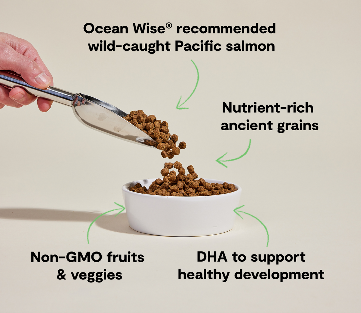 Puppy Kibble with Wild-Caught Salmon & Ancient Grains - Brain, Eye, Immune Support