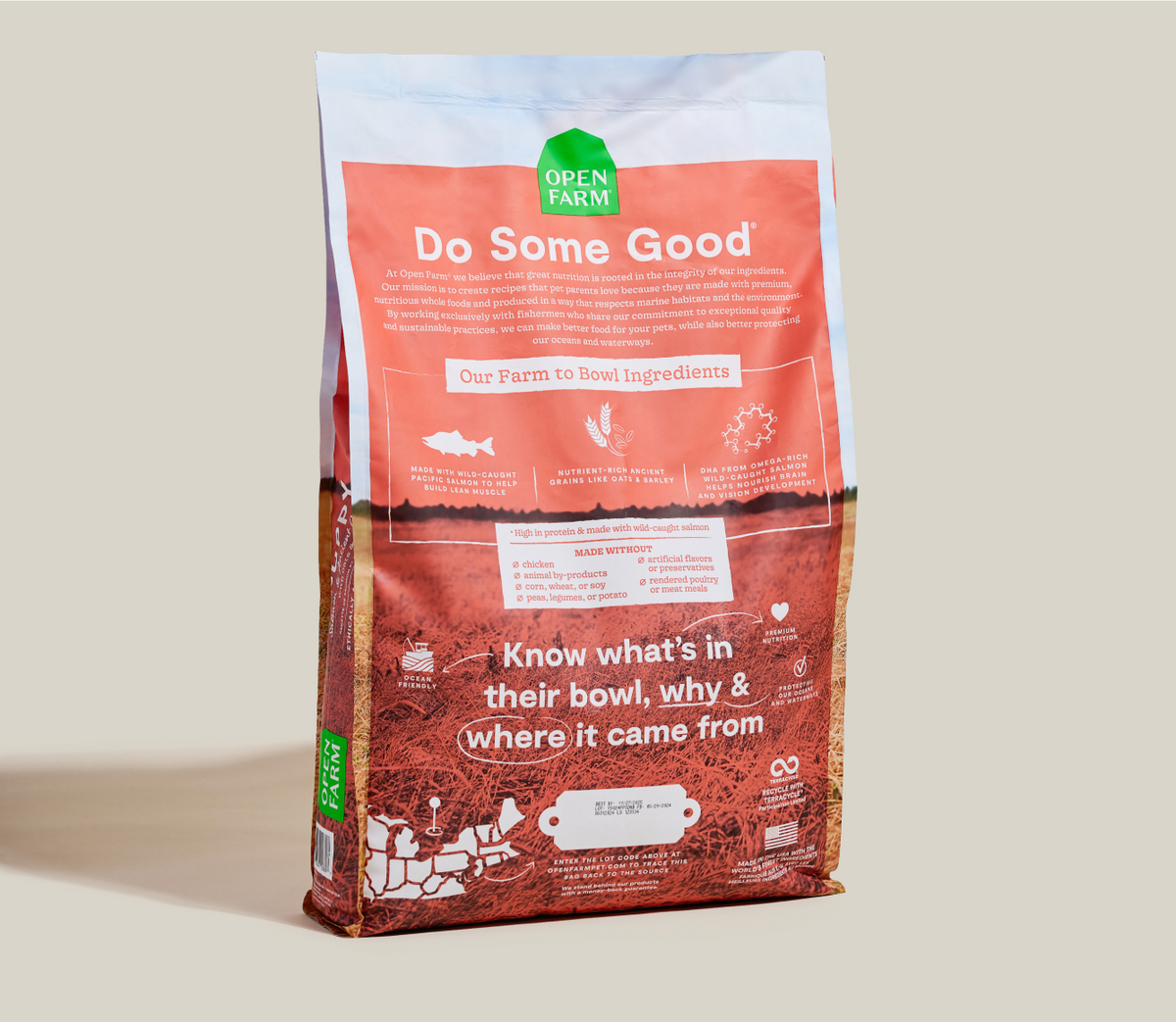 Puppy Kibble with Wild-Caught Salmon & Ancient Grains - Brain, Eye, Immune Support