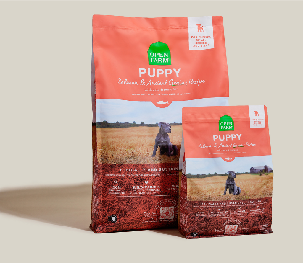 Puppy Kibble with Wild-Caught Salmon & Ancient Grains - Brain, Eye, Immune Support