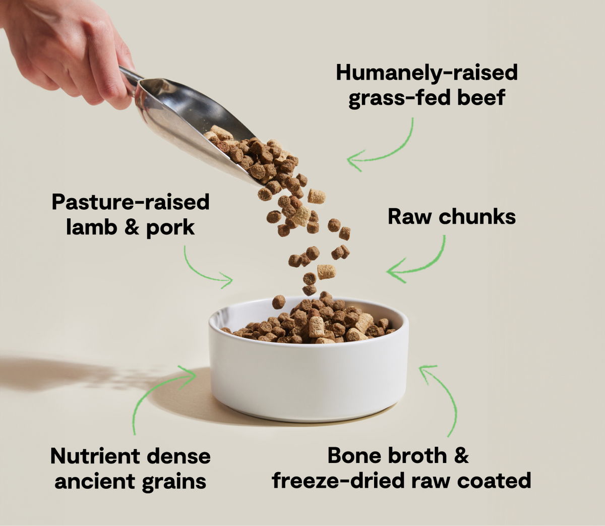 Multi-Protein Beef, Lamb & Pork Ancient Grain Dog Kibble – Raw-Coated