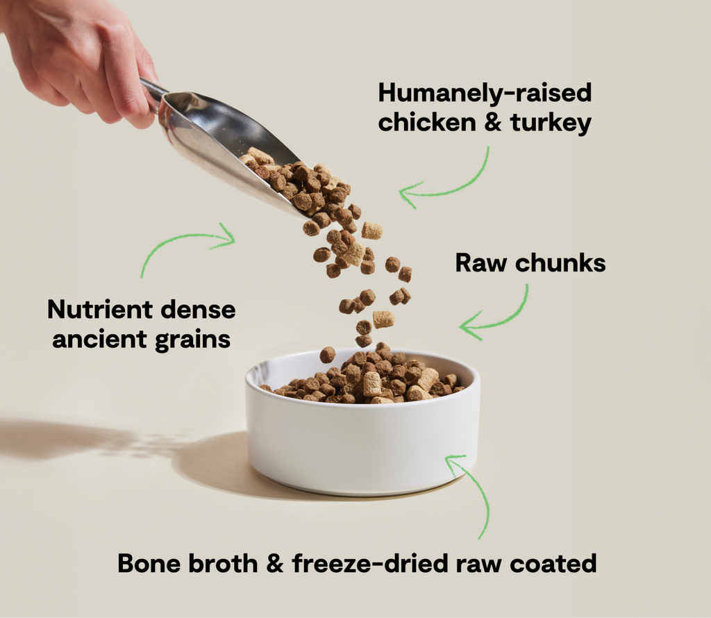 Chicken & Turkey Ancient-Grain RawMix Dog Kibble – Freeze-Dried Coated