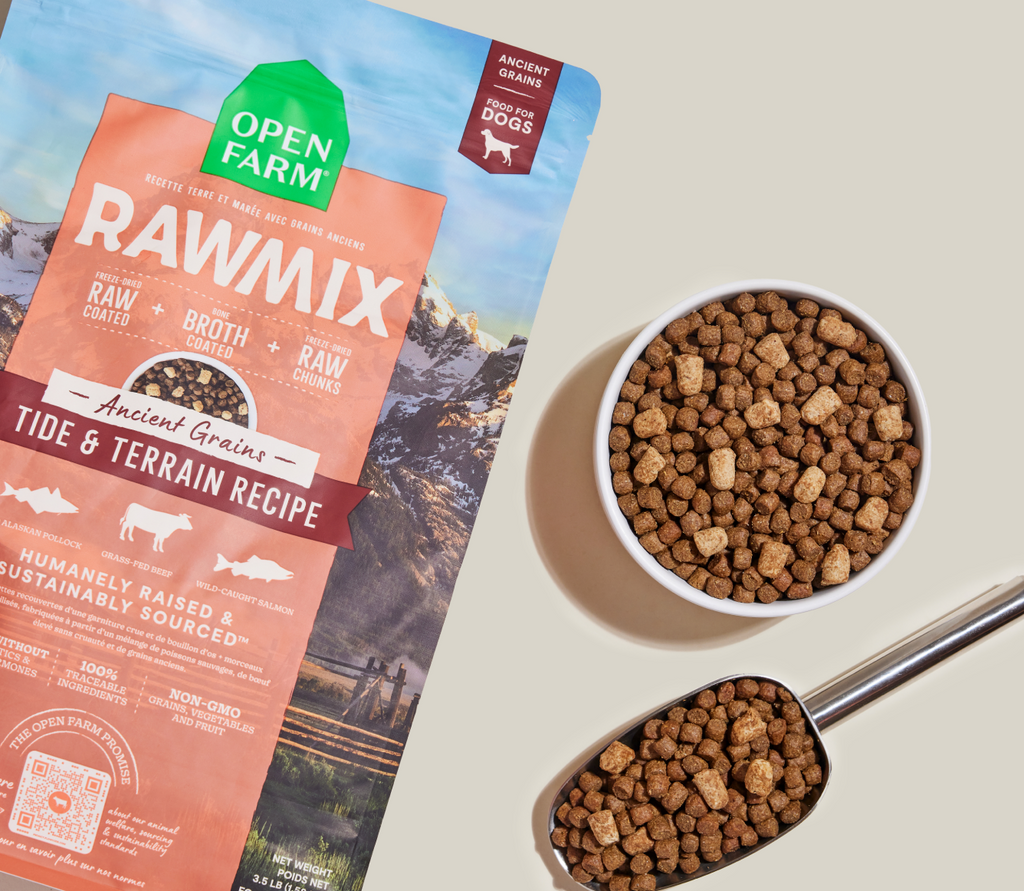 Wild Alaskan Pollock, Salmon & Beef Ancient-Grain Raw-Coated Dog Kibble