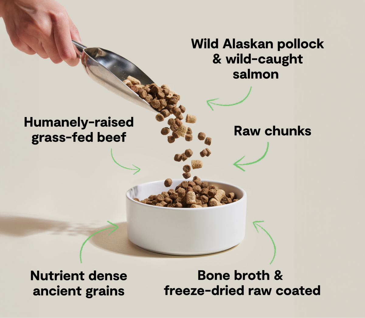 Wild Alaskan Pollock, Salmon & Beef Ancient-Grain Raw-Coated Dog Kibble