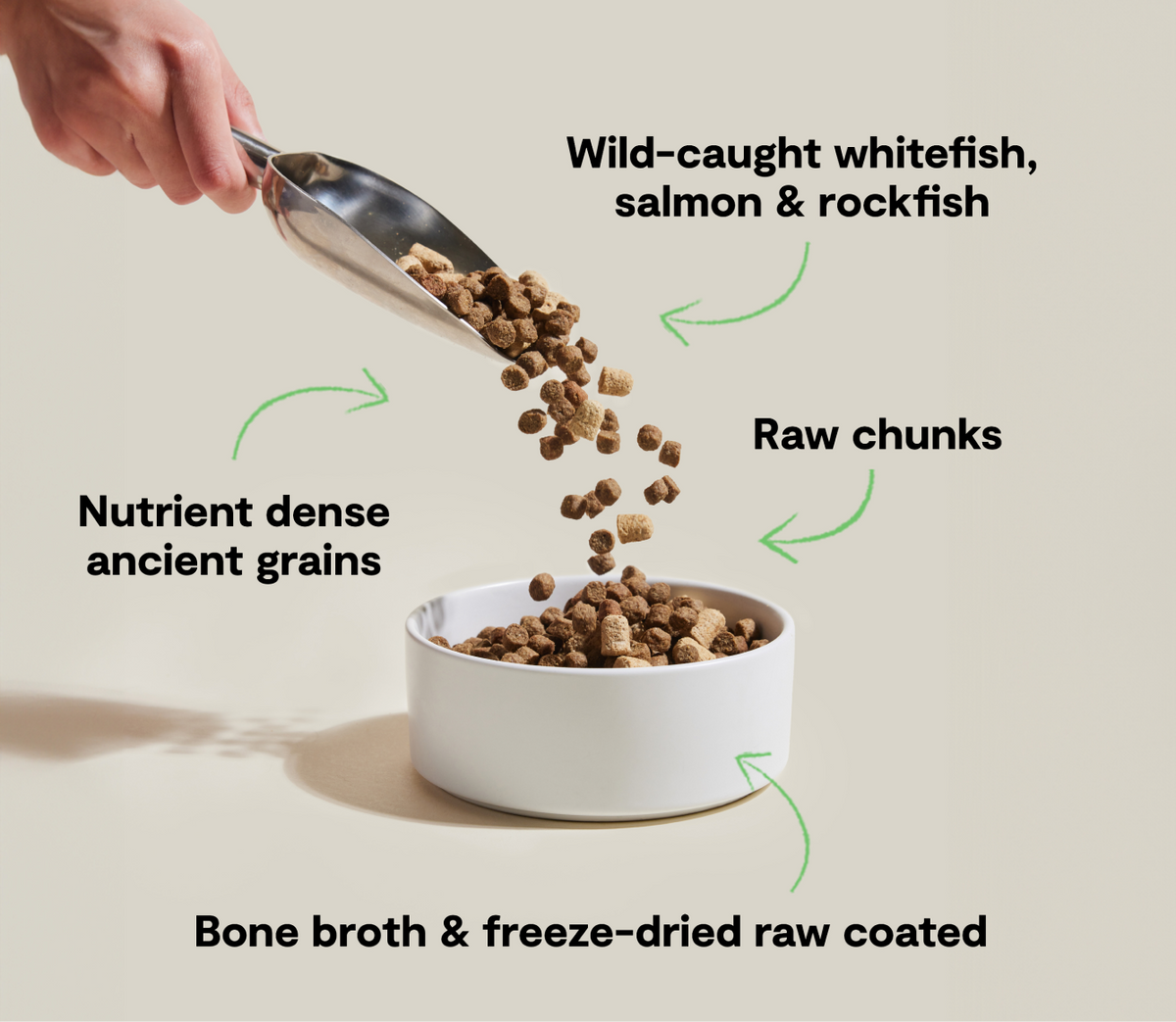 Wild Ocean Fish Ancient Grains Dog Kibble – Freeze-Dried Coated, Skin & Coat