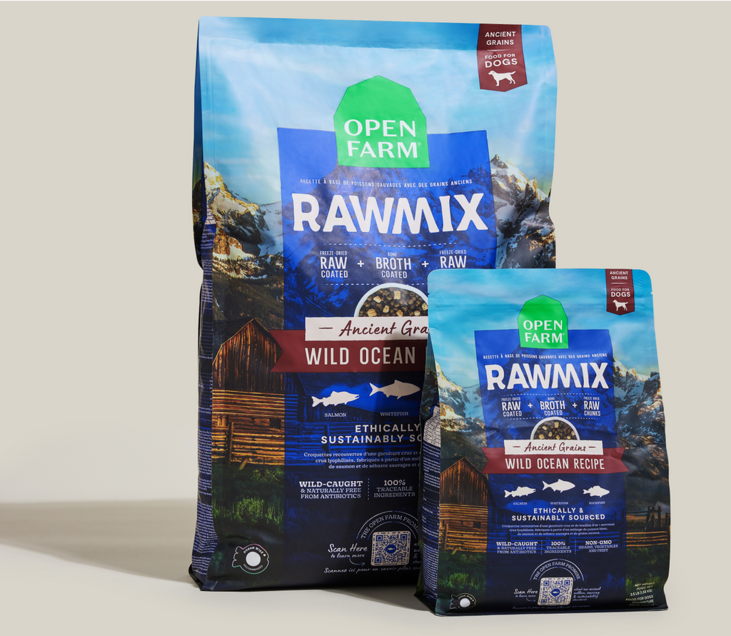 Wild Ocean Fish Ancient Grains Dog Kibble – Freeze-Dried Coated, Skin & Coat