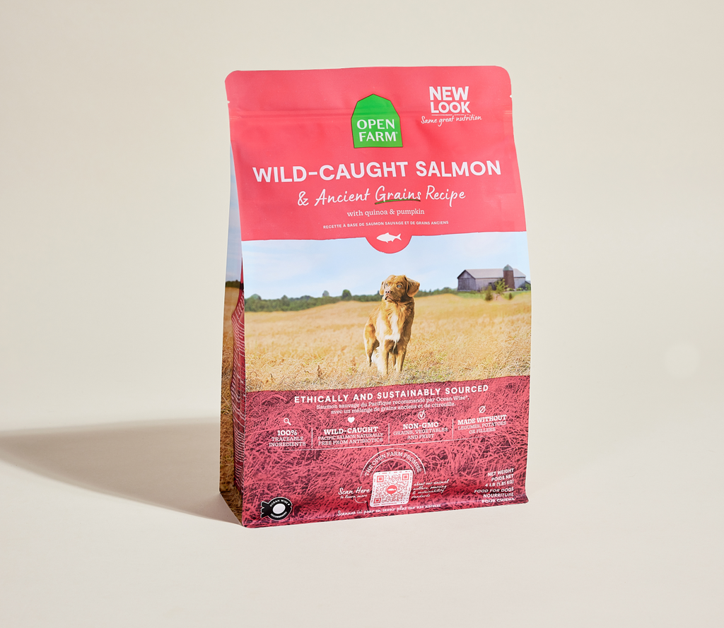 Pacific Salmon & Ancient-Grain Dog Kibble – Omega-3 Quinoa Friendly
