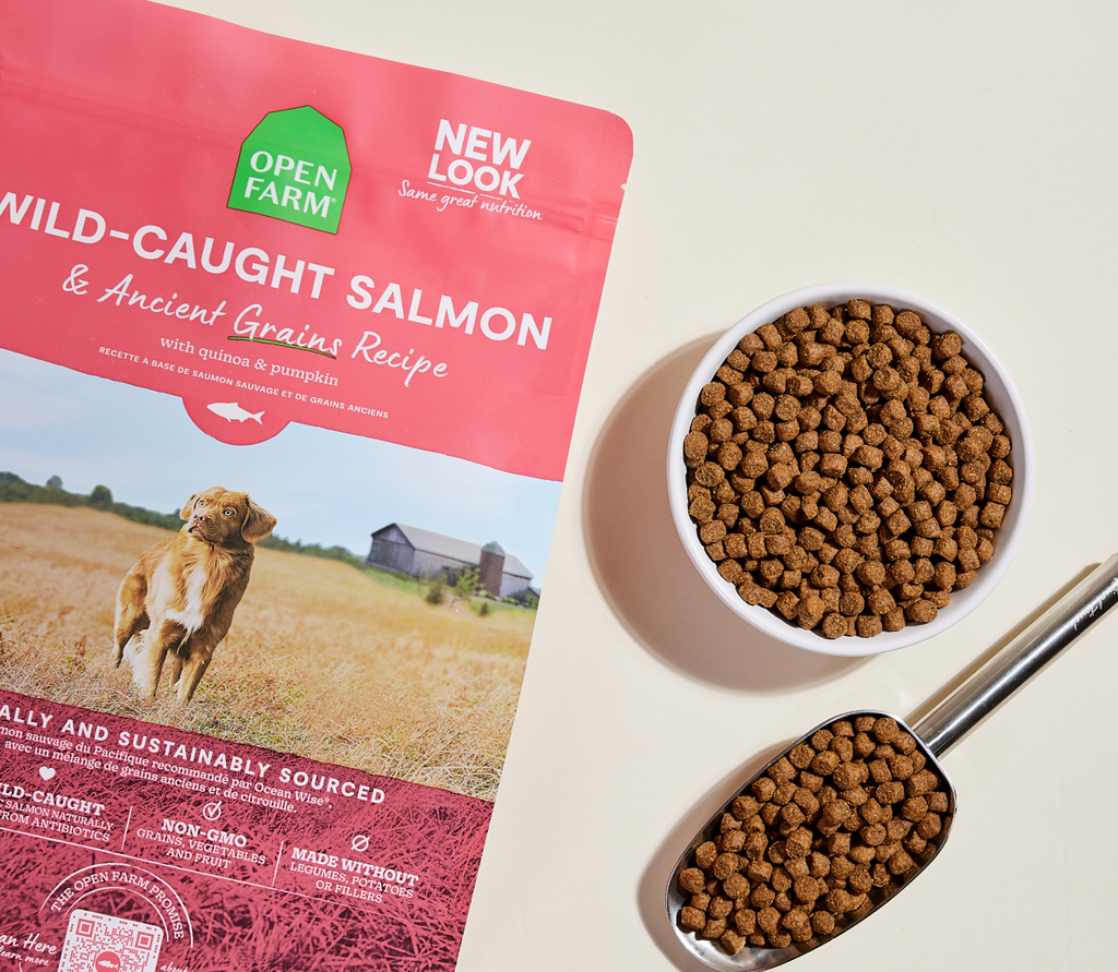 Pacific Salmon & Ancient-Grain Dog Kibble – Omega-3 Quinoa Friendly