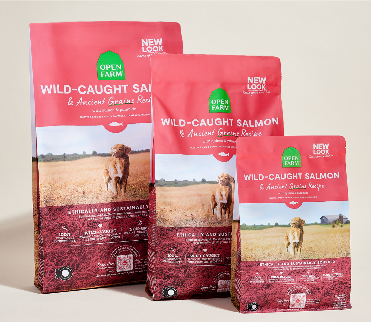 Pacific Salmon & Ancient-Grain Dog Kibble – Omega-3 Quinoa Friendly