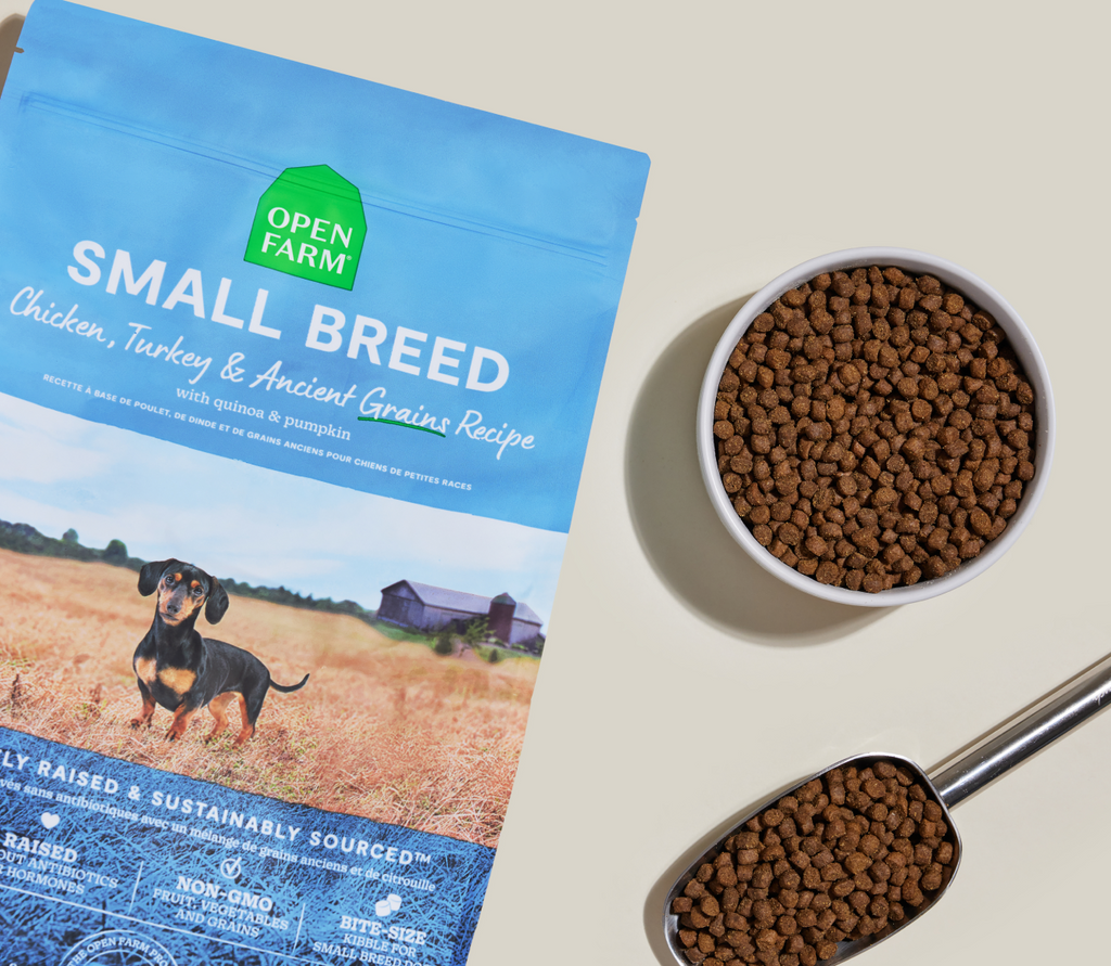 Small-Breed Ancient Grains Dog Kibble – Chicken, Turkey & Fish, Complete