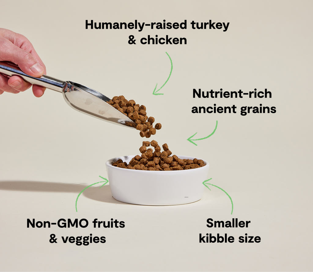 Small-Breed Ancient Grains Dog Kibble – Chicken, Turkey & Fish, Complete