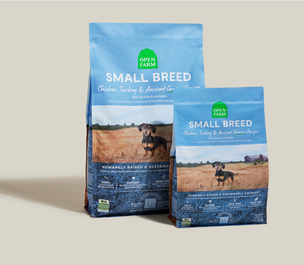 Small-Breed Ancient Grains Dog Kibble – Chicken, Turkey & Fish, Complete