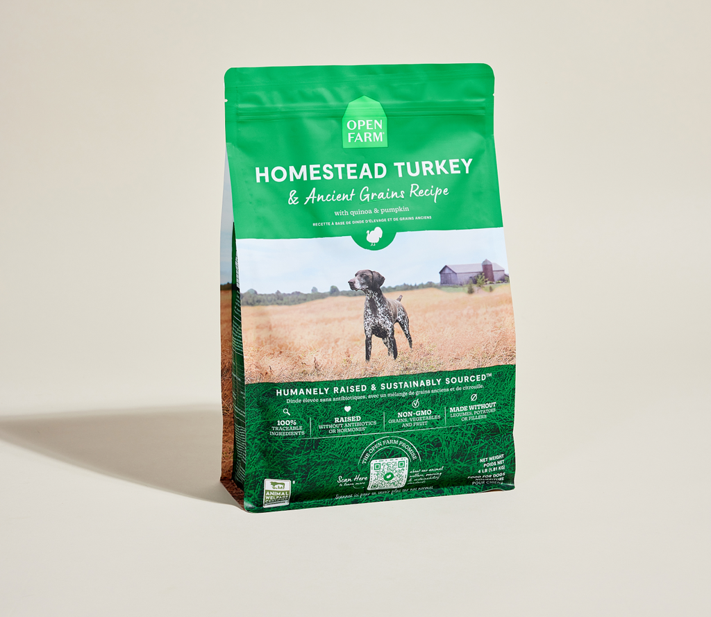 Homestead Turkey & Ancient Grains Dry Dog Kibble – Sensitive Stomachs