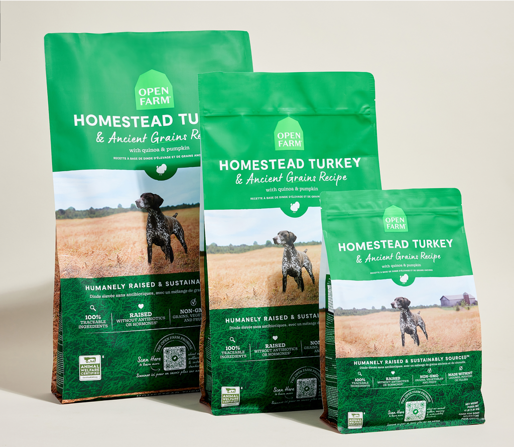 Homestead Turkey & Ancient Grains Dry Dog Kibble – Sensitive Stomachs