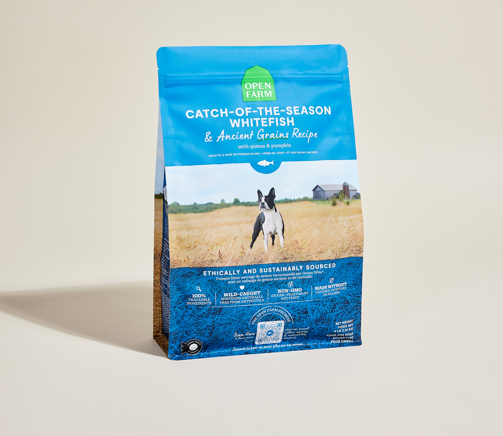 Seasonal Wild Whitefish & Ancient Grains Dry Dog Kibble – Omega-3